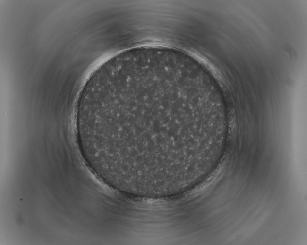 X0000113061375200909250859