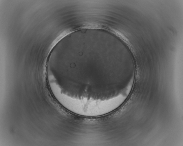 X0000113061378200909250859