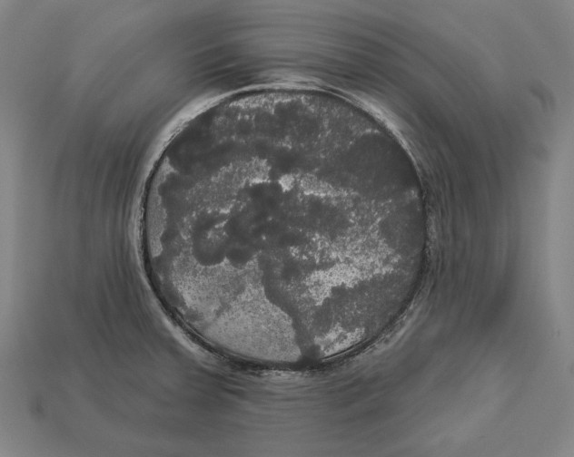 X0000113061379200909250859