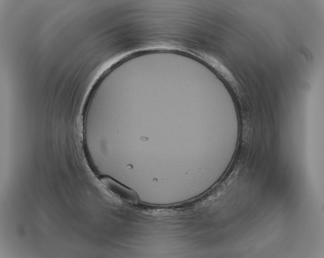 X0000113061380200909250859