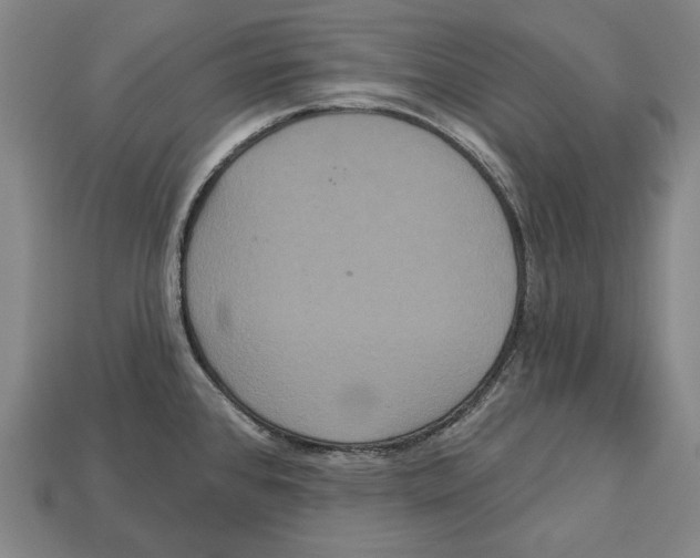 X0000113061384200909250859