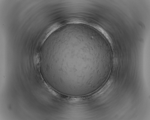 X0000113061385200909250859