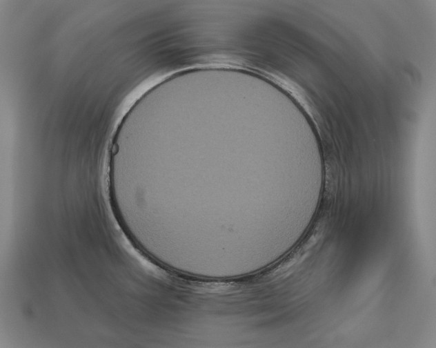 X0000113061387200909250859