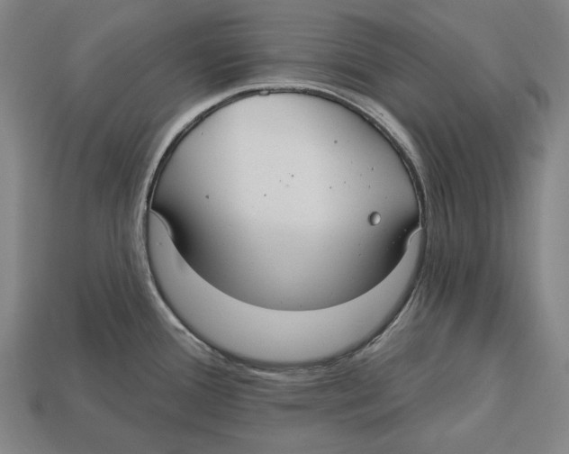 X0000113061388200909250859