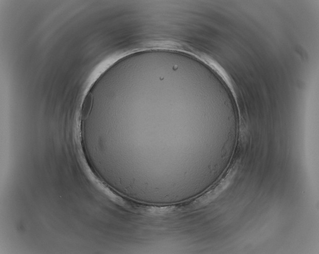 X0000113061389200909250859