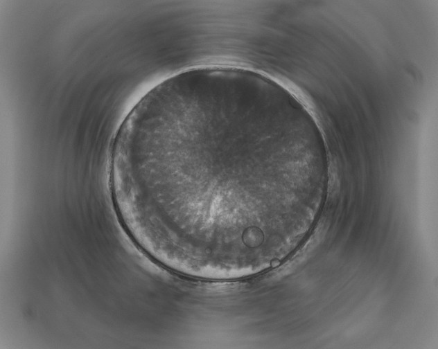 X0000113061390200909250859