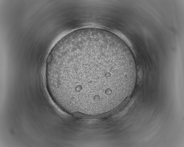 X0000113061391200909250859