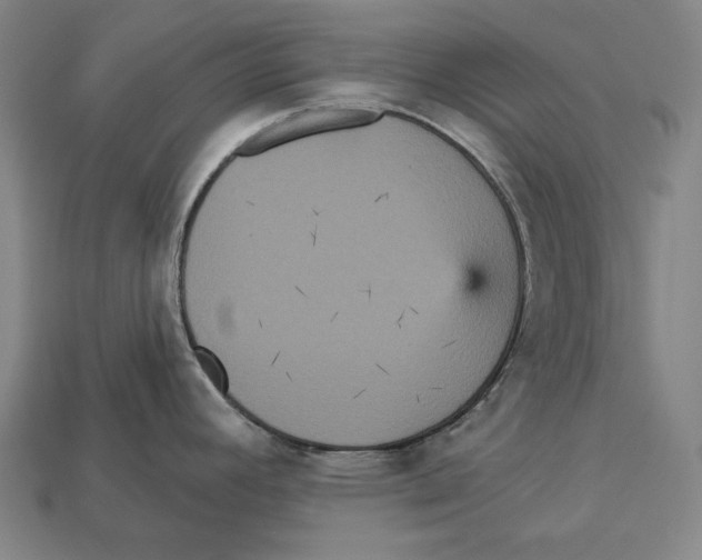 X0000113061392200909250859