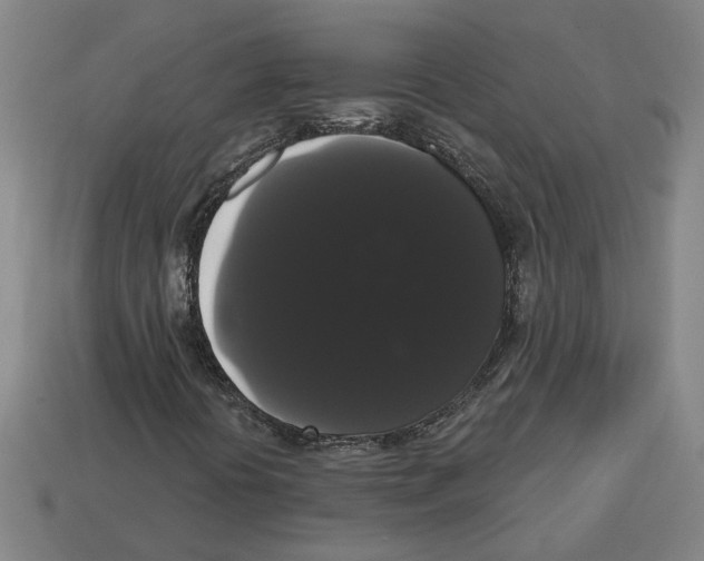 X0000113061394200909250859