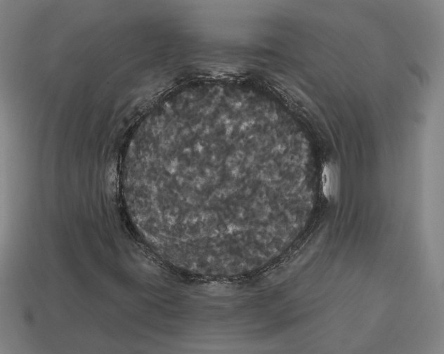 X0000113061395200909250859