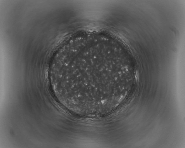 X0000113061396200909250859