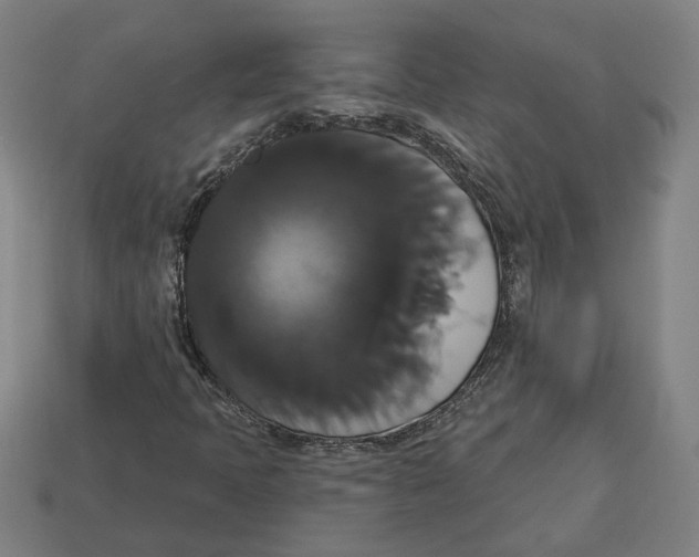 X0000113061397200909250859