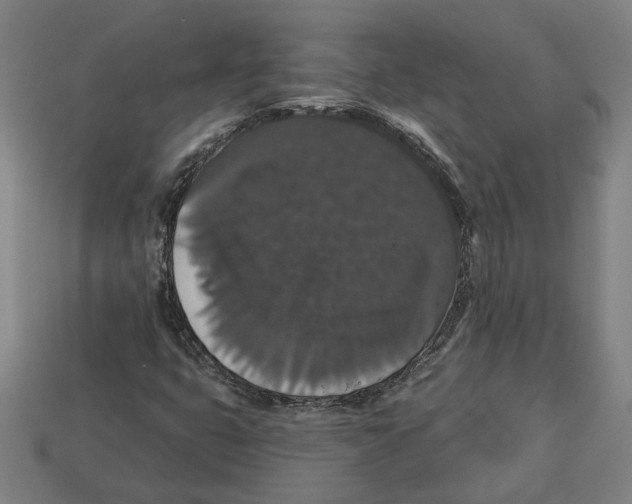 X0000113061399200909250859