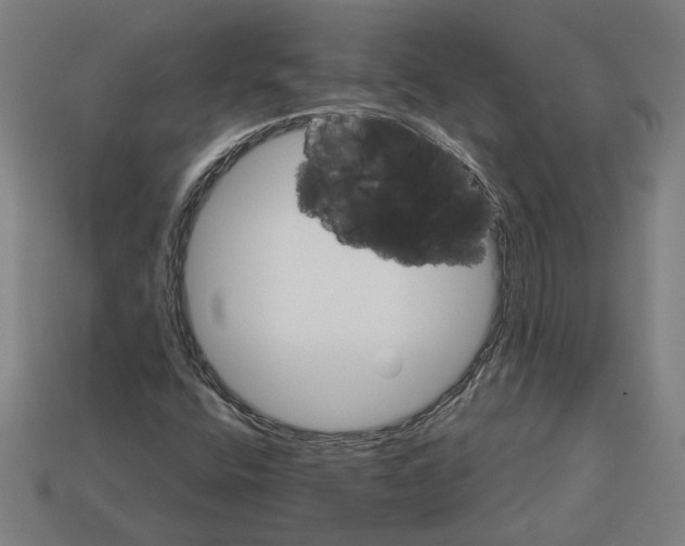 X0000113061400200909250859