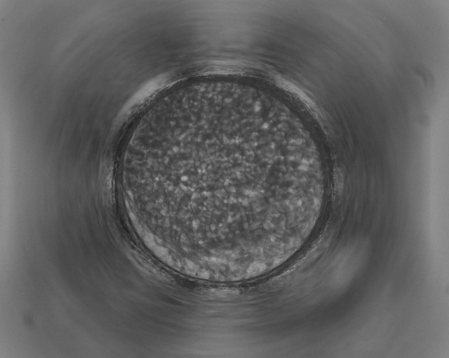 X0000113061403200909250859