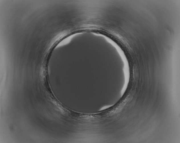 X0000113061405200909250859