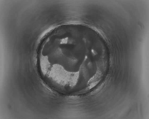 X0000113061406200909250859