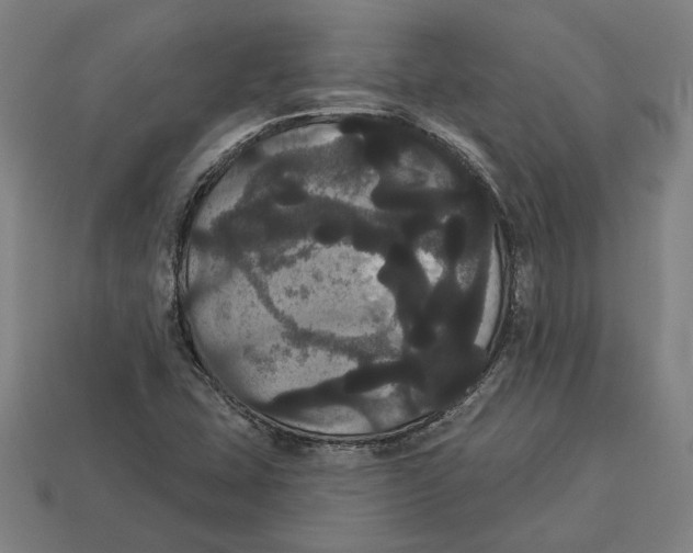 X0000113061407200909250859