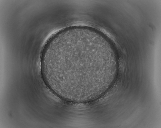 X0000113061408200909250859