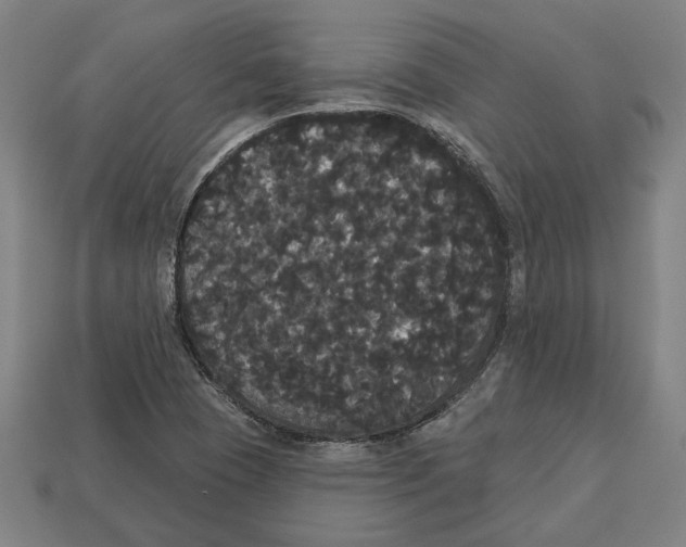 X0000113061409200909250859