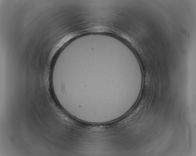 X0000113061410200909250859