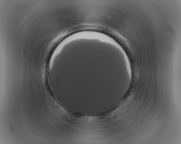 X0000113061411200909250859