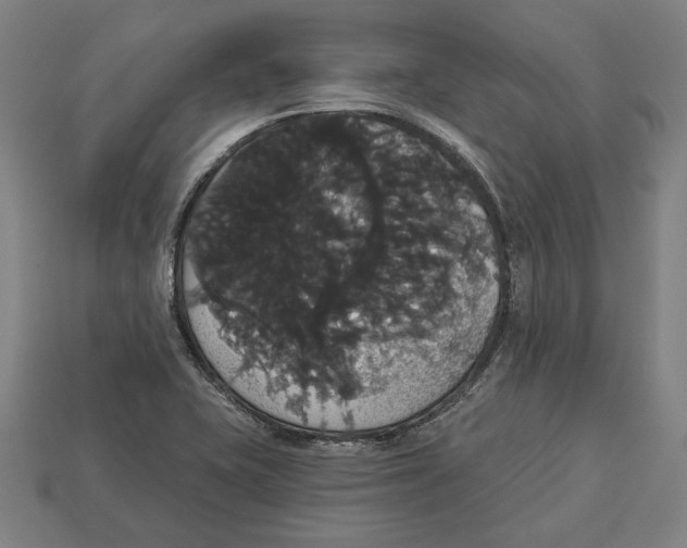 X0000113061415200909250859