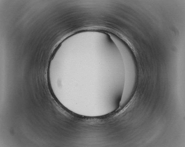 X0000113061417200909250859