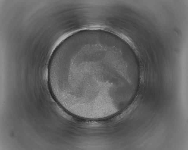 X0000113061420200909250859