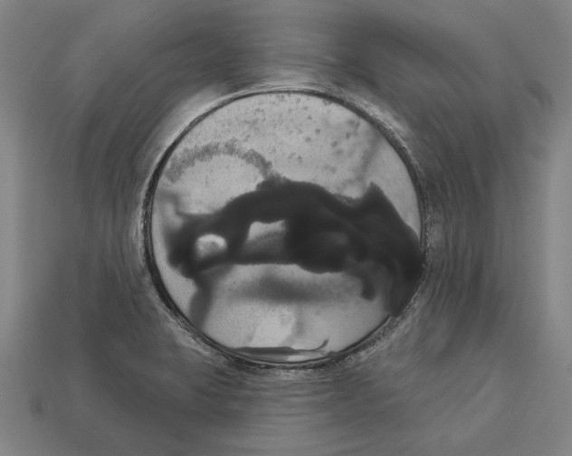 X0000113061423200909250859