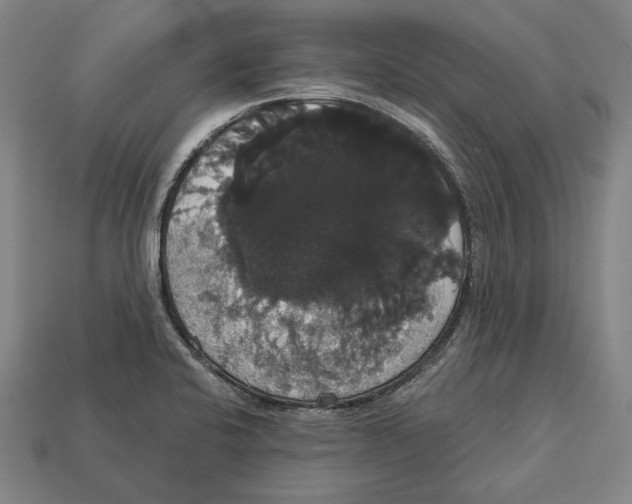 X0000113061424200909250859