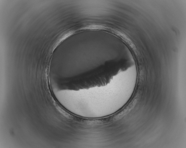 X0000113061425200909250859