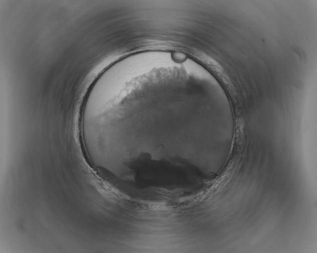 X0000113061427200909250859