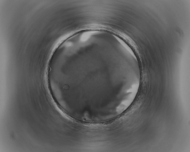 X0000113061429200909250859