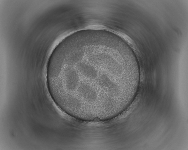 X0000113061430200909250859