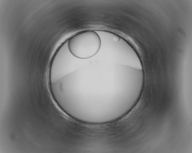 X0000113061432200909250859