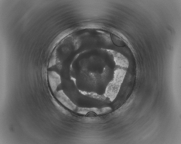 X0000113061433200909250859