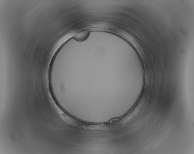 X0000113061434200909250859