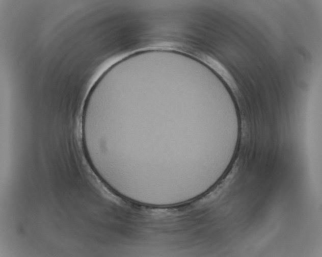 X0000113061436200909250859