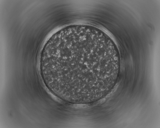 X0000113061437200909250859