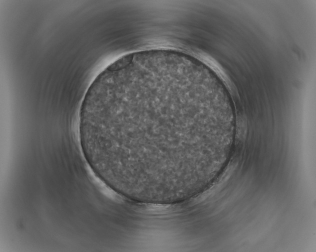 X0000113061439200909250859