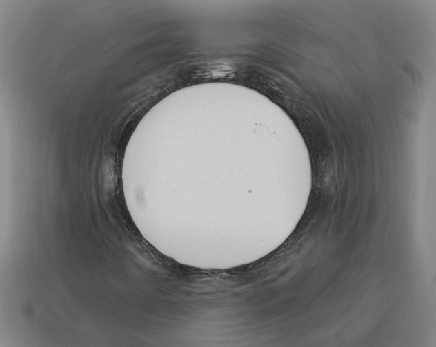 X0000113061442200909250859