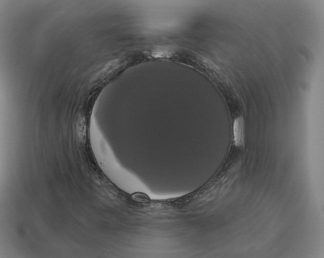 X0000113061443200909250859