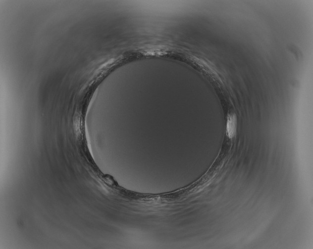 X0000113061444200909250859