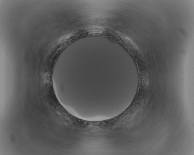 X0000113061445200909250859