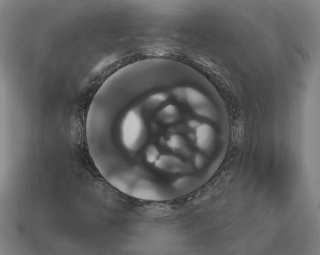 X0000113061446200909250859