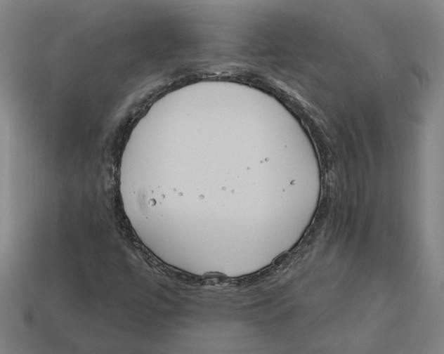 X0000113061447200909250859