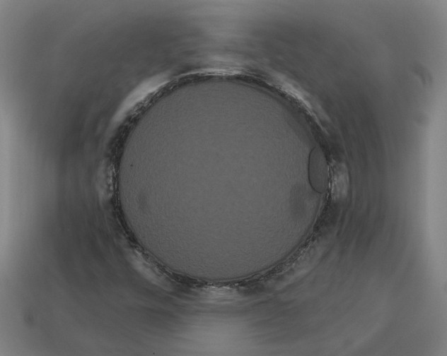 X0000113061448200909250858