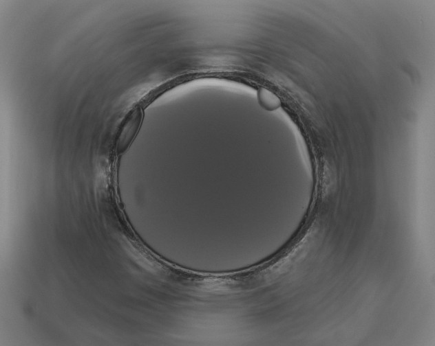 X0000113061449200909250858