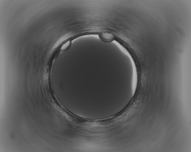 X0000113061450200909250858